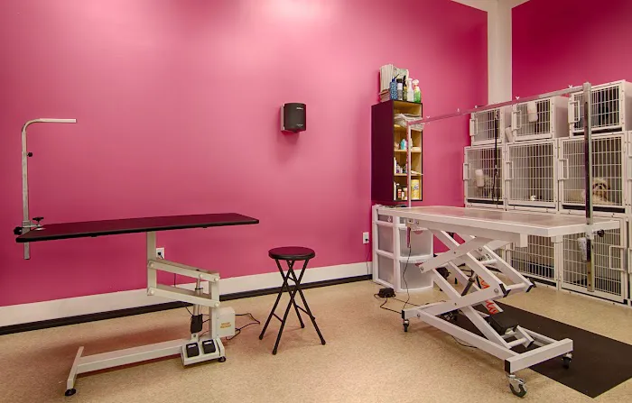 Bluffton Animal Clinic 12