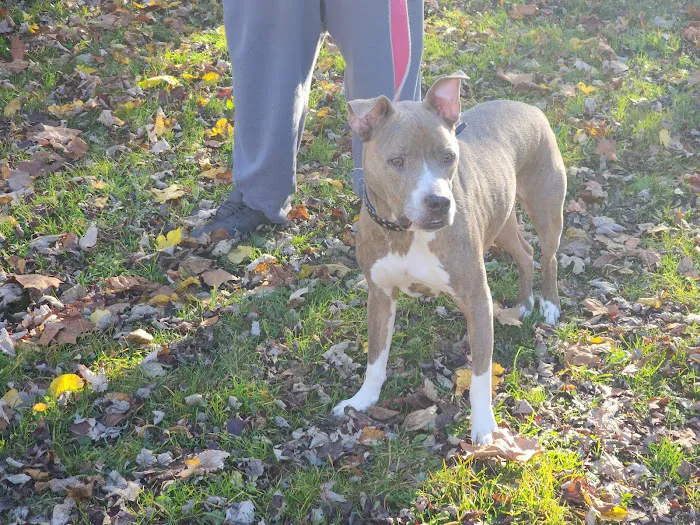 Bluffton Animal Clinic 12