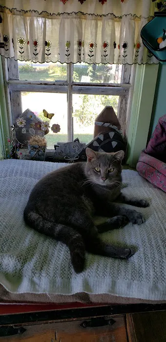 Bluffton Animal Clinic 12