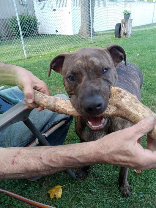 Bluffton Animal Clinic 12