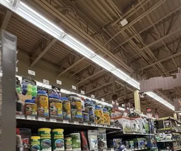 Petco