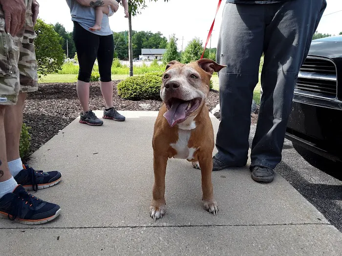 Decatur Veterinary Hospital 12