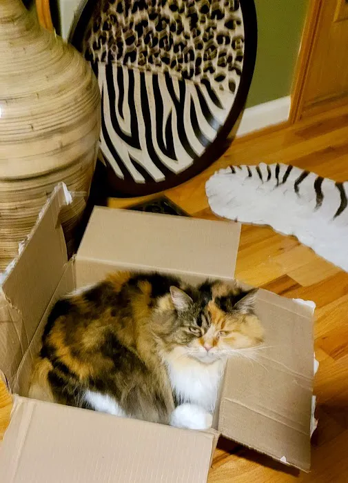 Springfield Veterinary Clinic 1
