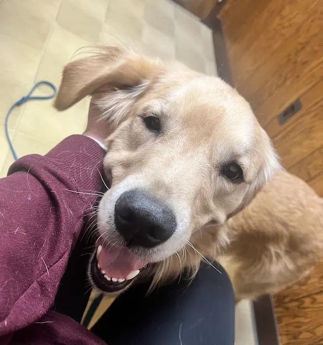 Springfield Veterinary Clinic 3