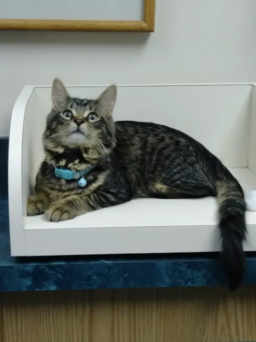 Clarkston Animal Medical Center 8