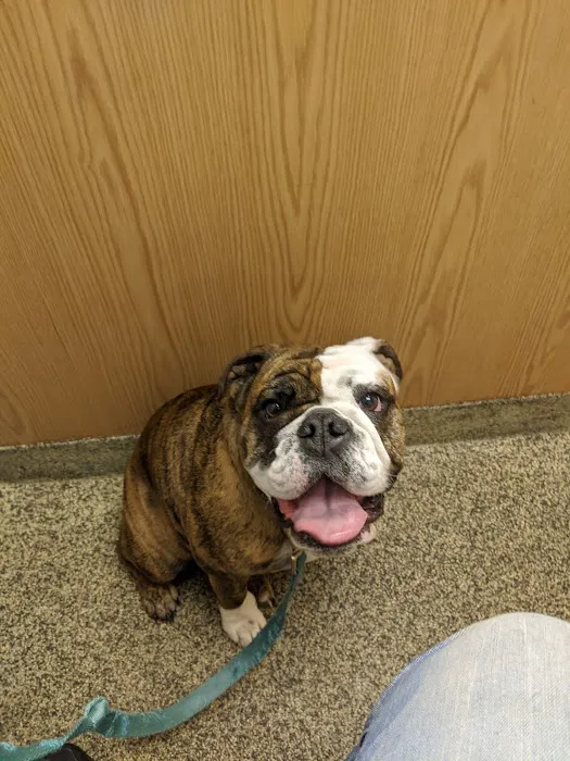 Clarkston Animal Medical Center 9