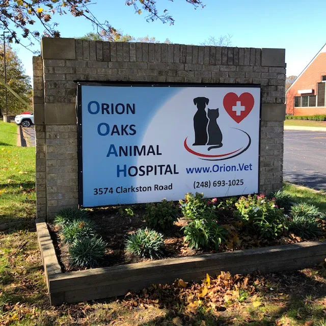 Orion Oaks Animal Hospital 7