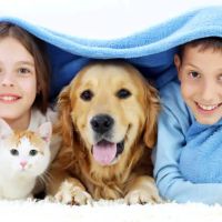 Clarkston Veterinary Clinic ico