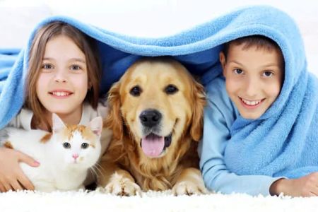 Clarkston Veterinary Clinic