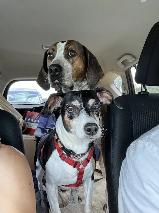 Dixie Veterinary Hospital 4
