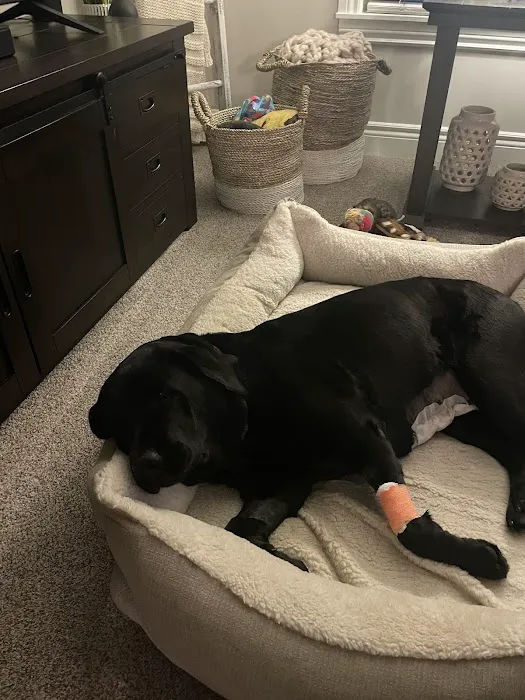 Dixie Veterinary Hospital 8
