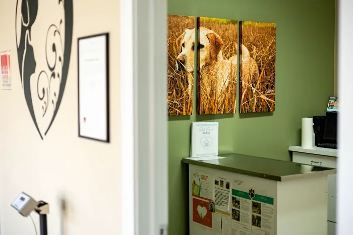 Animal Wellness & Medical Center of Oxford 1