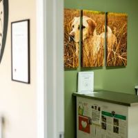 Animal Wellness & Medical Center of Oxford ico