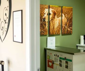 Animal Wellness & Medical Center of Oxford