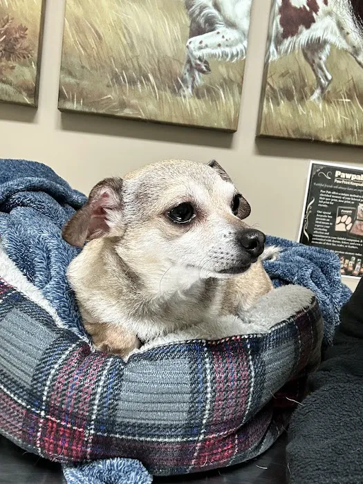 Animal Wellness & Medical Center of Oxford 8