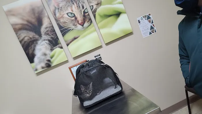 Animal Wellness & Medical Center of Oxford 7