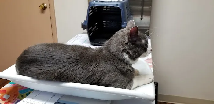 Lake Orion Veterinary Hospital 2
