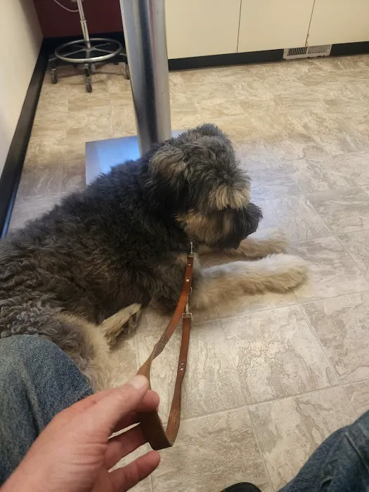 Lake Orion Veterinary Hospital 4