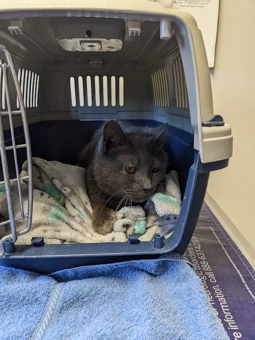 Lake Orion Veterinary Hospital 3