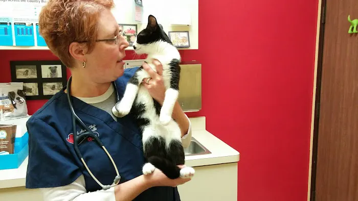 Animal Clinic At Oxford Mills 3