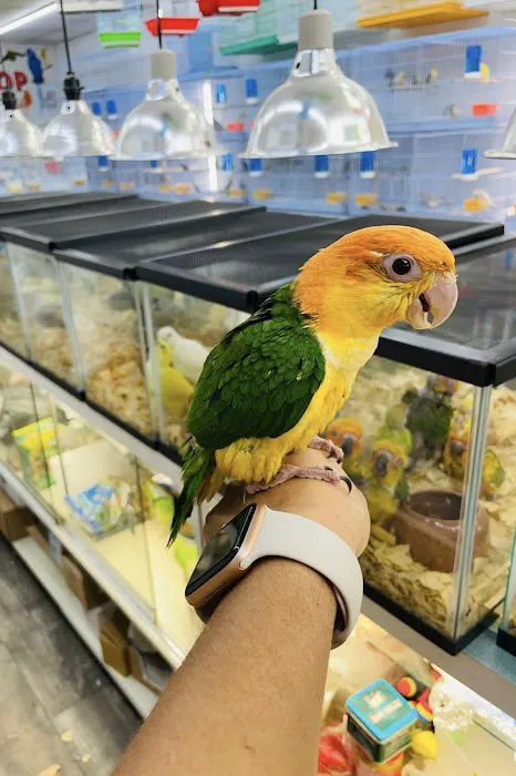 Animal House Pet Shop 1