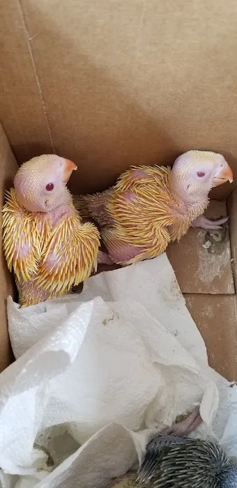 Animal House Pet Shop 5