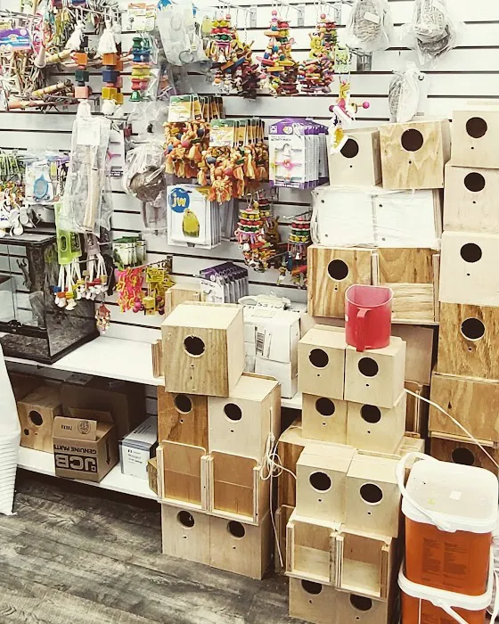 Animal House Pet Shop 9