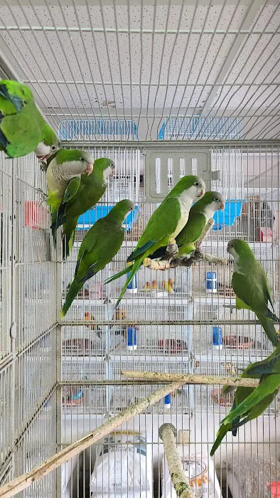 Animal House Pet Shop 6