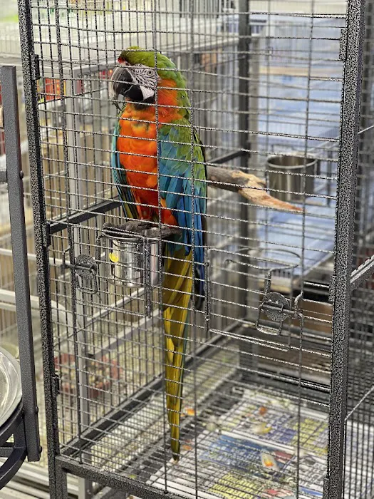 Animal House Pet Shop 4