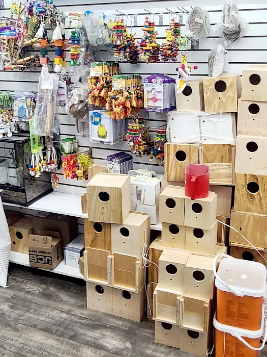 Animal House Pet Shop 8