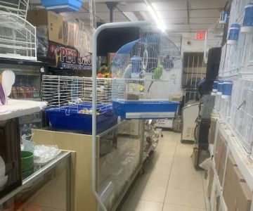 Pet Shop EddyRolex Dj Corp