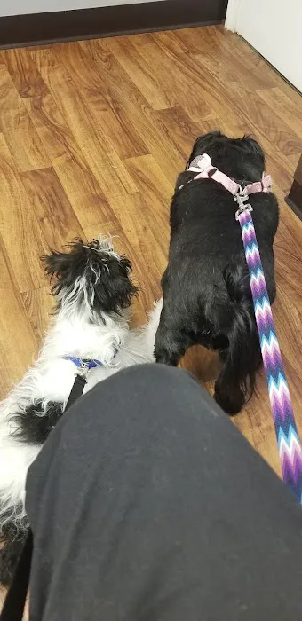 Brinker Veterinary Hospital 5