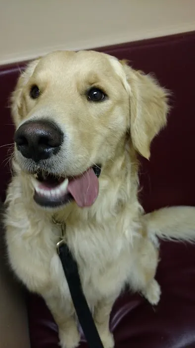 Brinker Veterinary Hospital 3