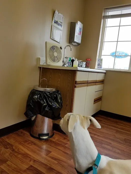 Brinker Veterinary Hospital 4