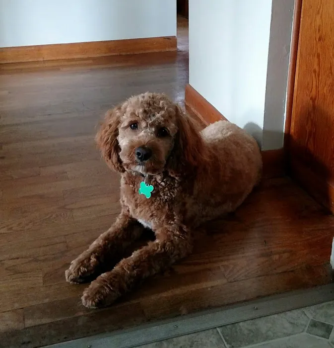 North River Animal Hospital 4