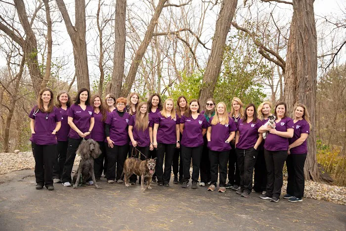 North River Animal Hospital 5