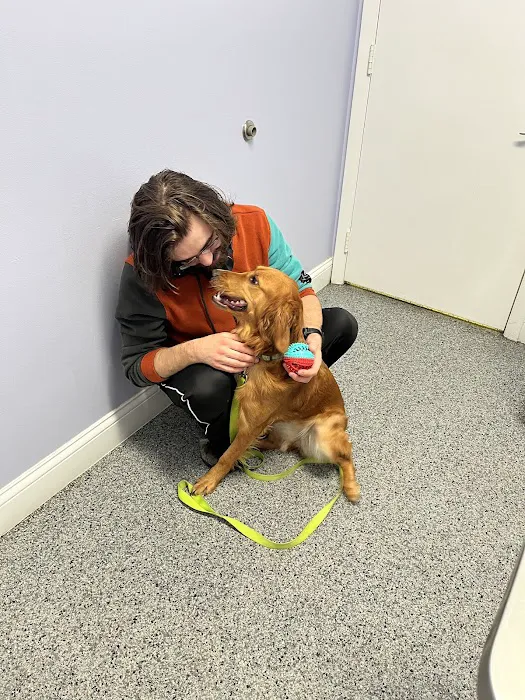 North River Animal Hospital 6