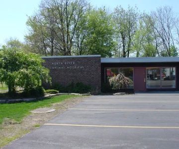 North River Animal Hospital