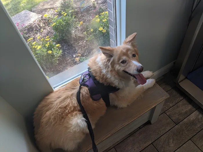 North River Animal Hospital 7