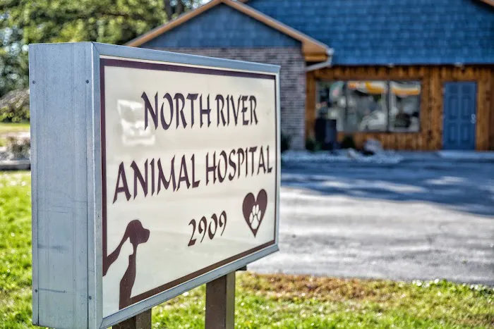 North River Animal Hospital 2