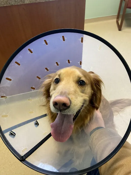 Lake Huron Veterinary Clinic 1