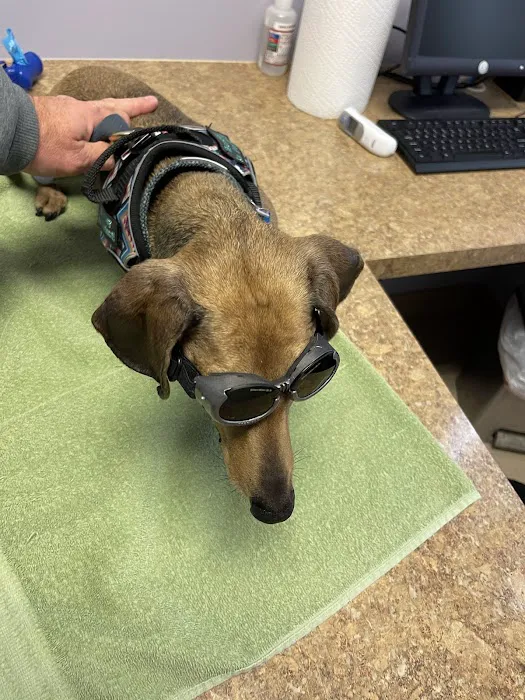 Lake Huron Veterinary Clinic 7