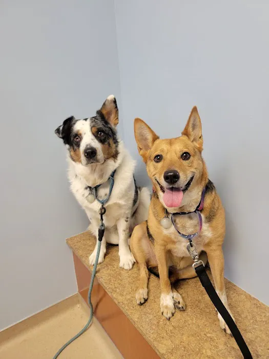 Lake Huron Veterinary Clinic 9