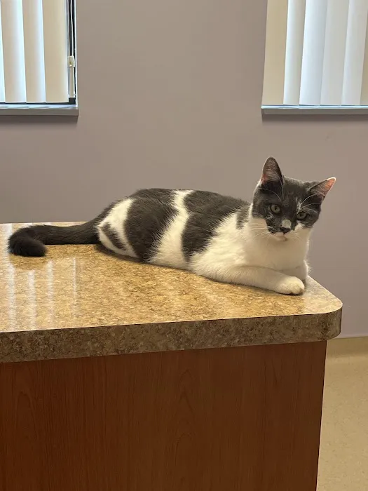 Lake Huron Veterinary Clinic 6