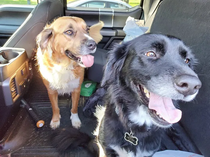 Companion Animal Hospital 1