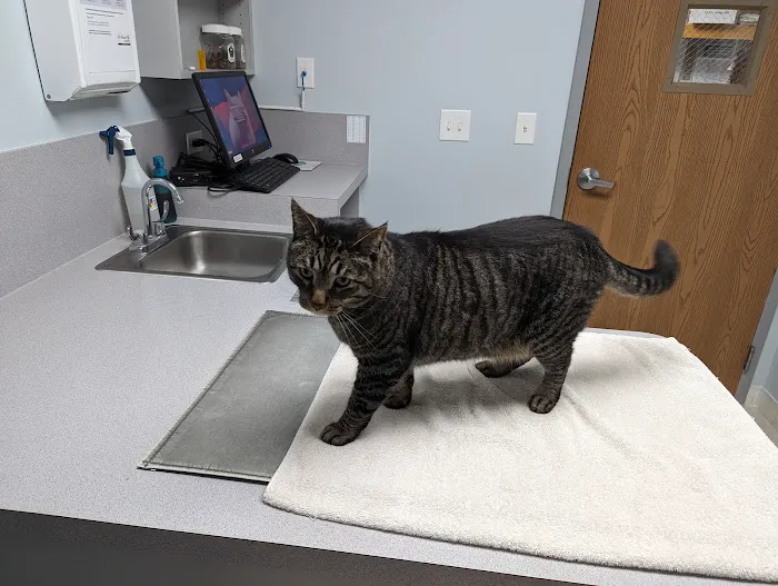 Companion Animal Hospital 2
