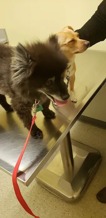 Bancroft Veterinary clinic 12