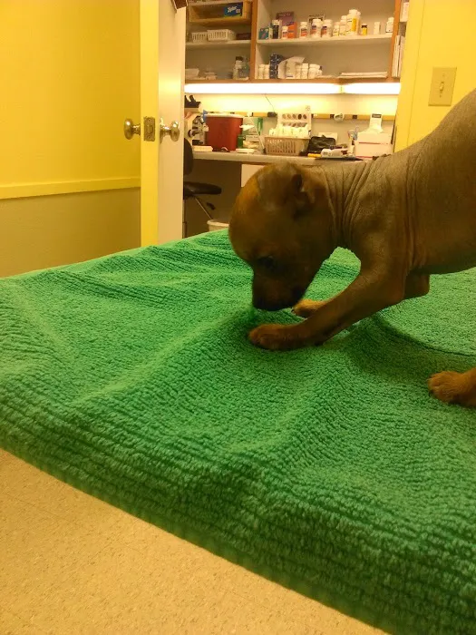Bancroft Veterinary clinic 12