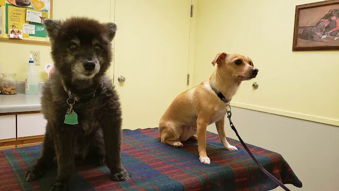 Bancroft Veterinary clinic 12