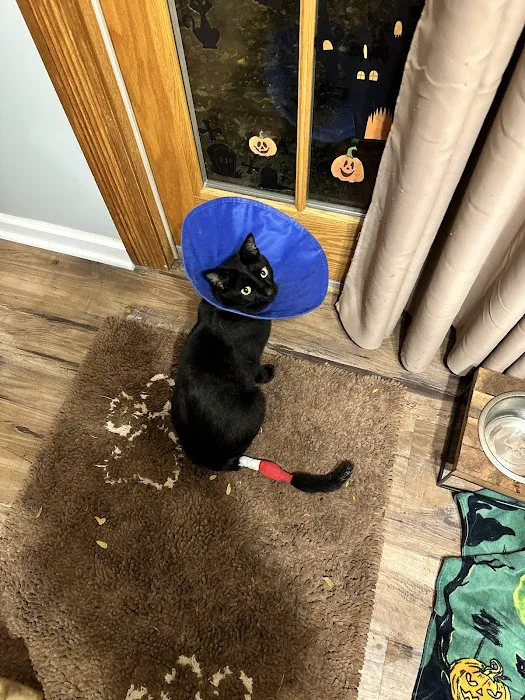 Bancroft Veterinary clinic 12